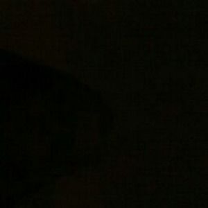 Meet your Posher, Jada